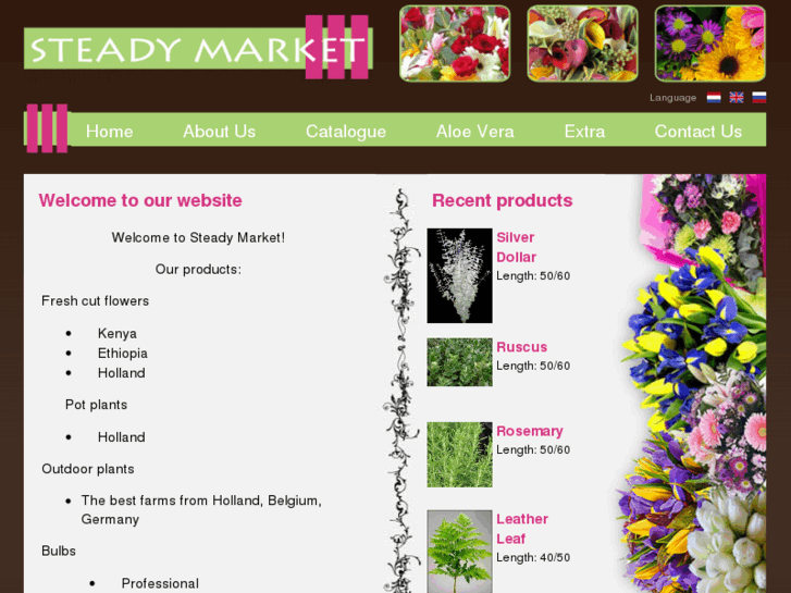 www.steadymarket.com