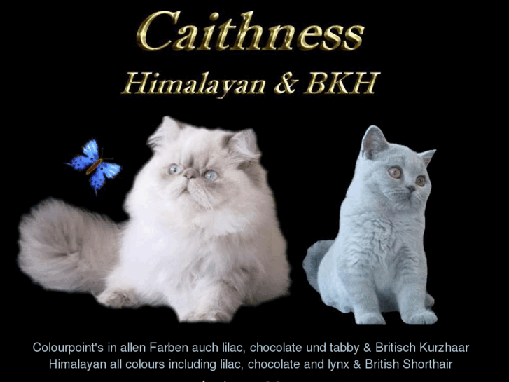 www.caithness.de