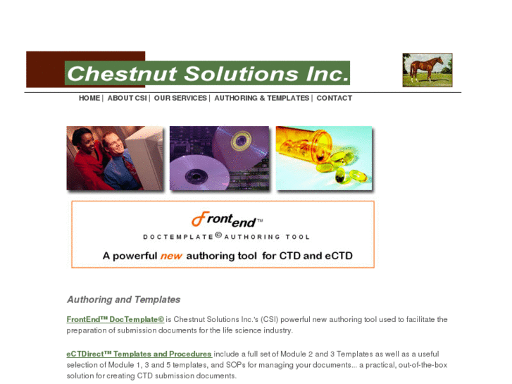 www.chestnutsolutions.com