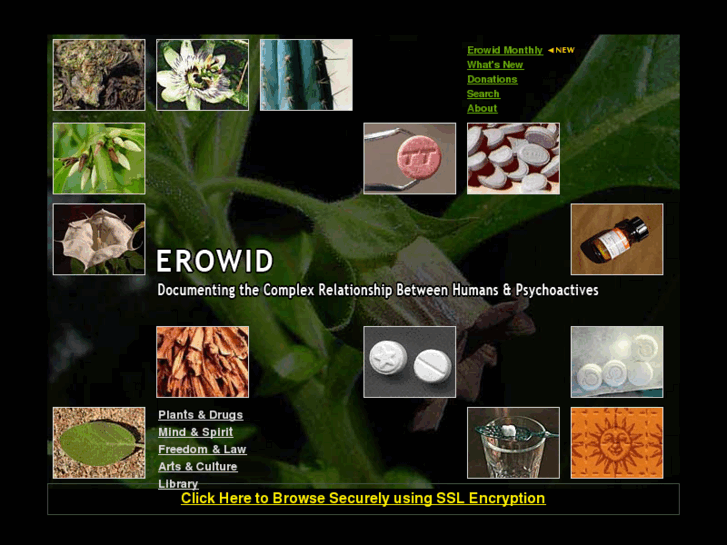 www.erowid.org