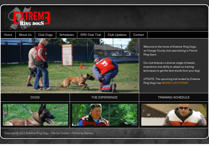 www.extremeringdogs.com