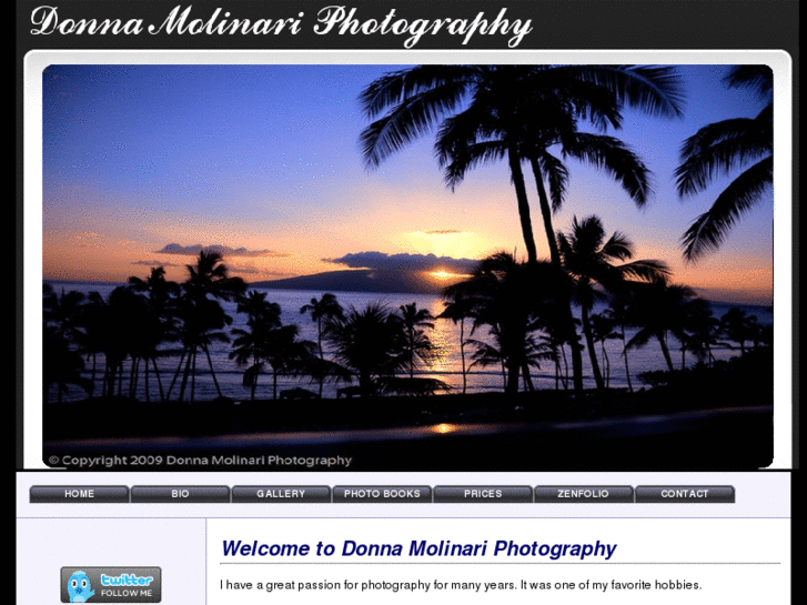 www.molinariphotography.com