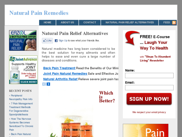 www.naturalpainremedies.net