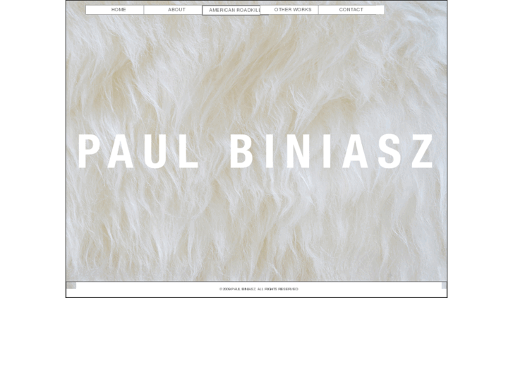 www.paulbiniasz.com