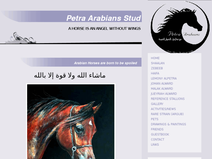 www.petra-arabians.com