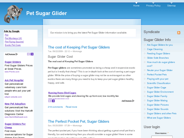 www.petsugarglider.com