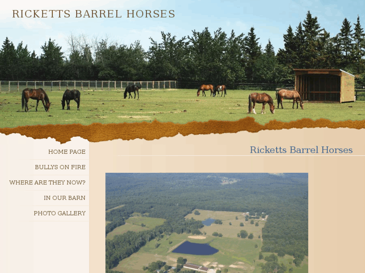 www.rickettsbarrelhorses.com