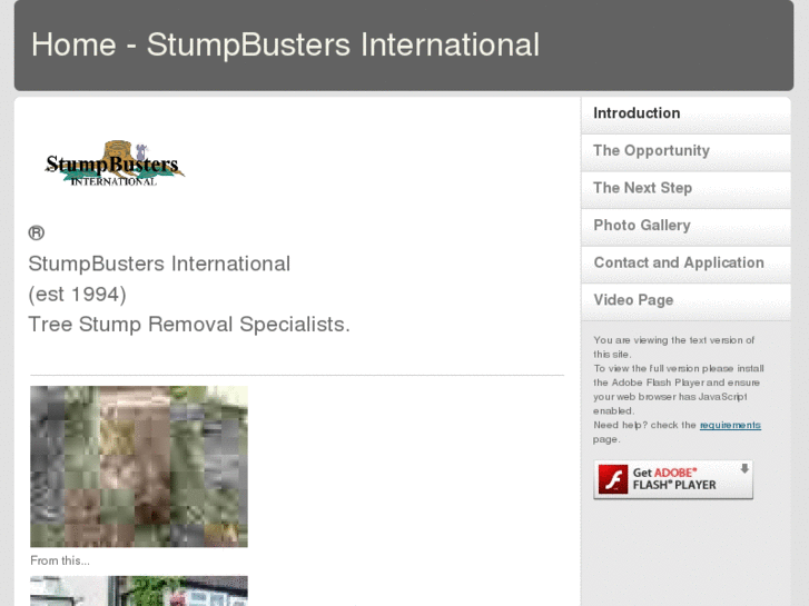 www.stumpbusters.info