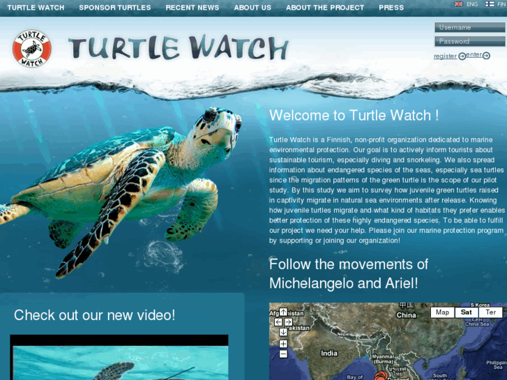 www.turtlewatch.net