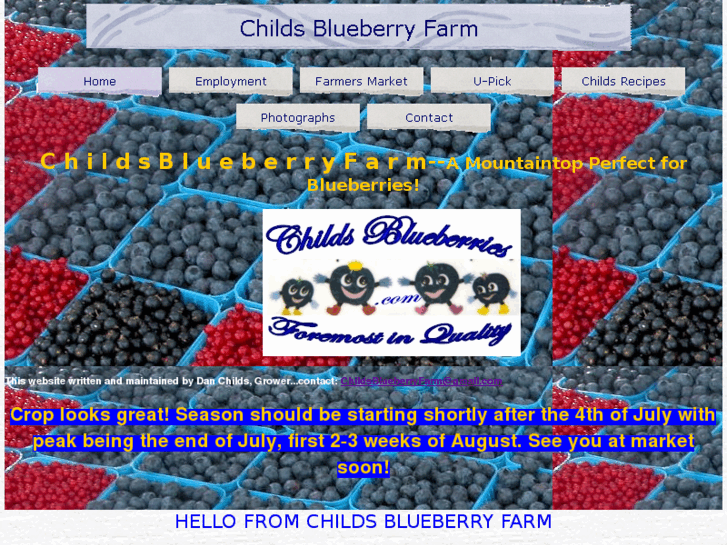 www.childsblueberries.com