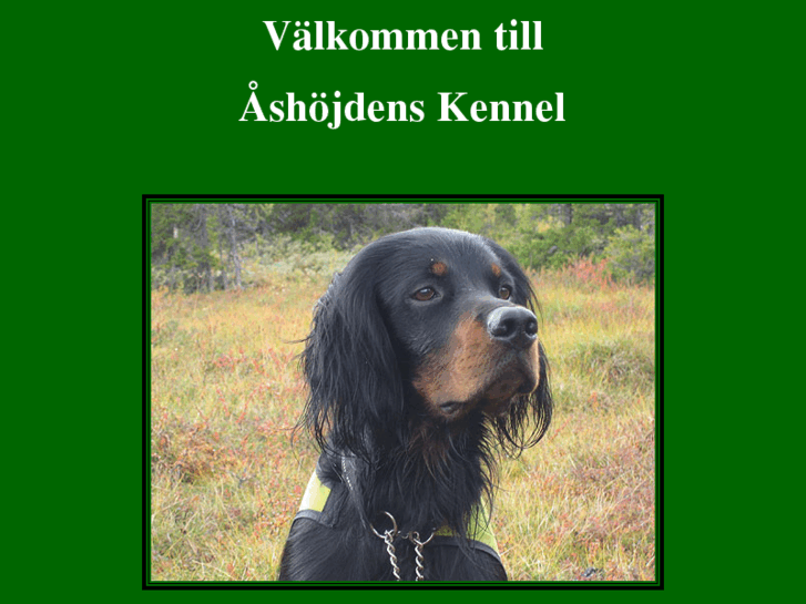 www.gordonsetter.se