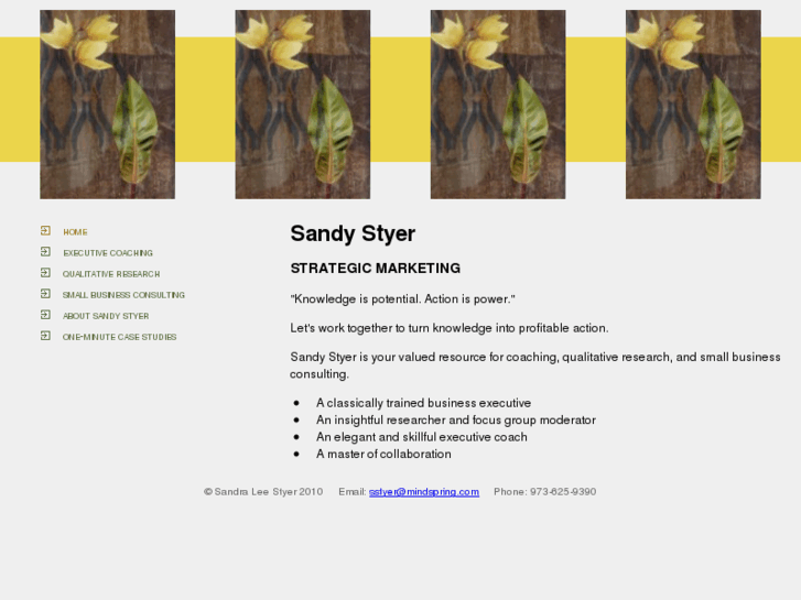 www.sandrastyer.com