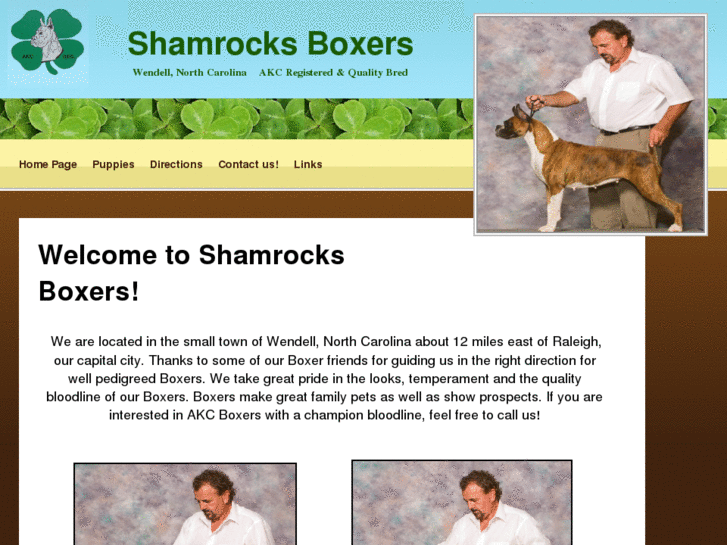 www.shamrocksboxers.com