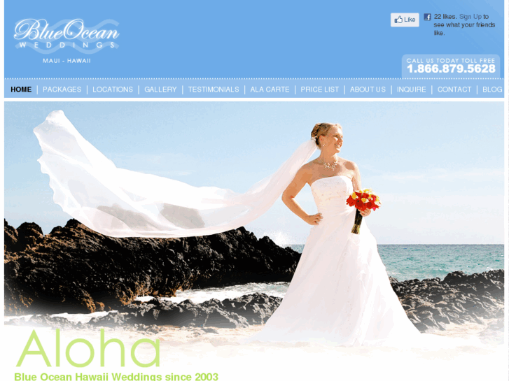 www.blueoceanweddings.com