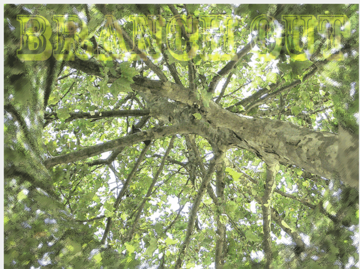 www.branch-out.org