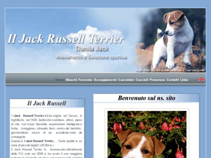 www.iljackrussell.net