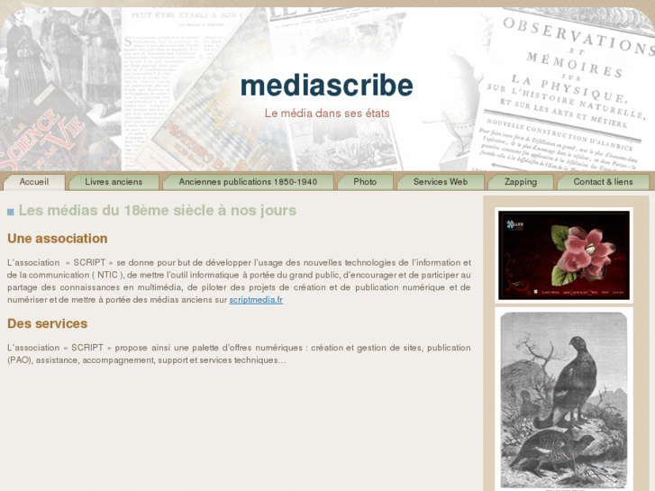 www.mediascribe.net