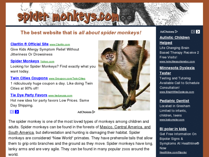 www.spidermonkeys.com