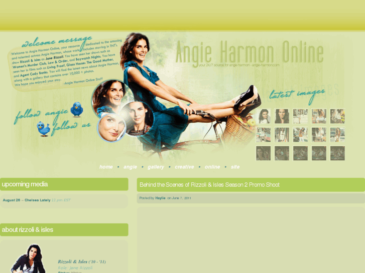 www.angie-harmon.com