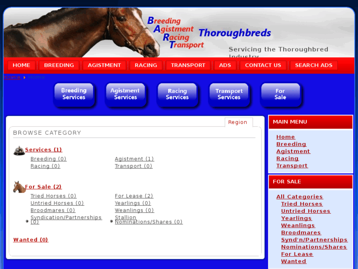 www.bart-thoroughbreds.com