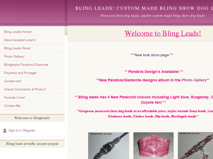 www.blingleads.com