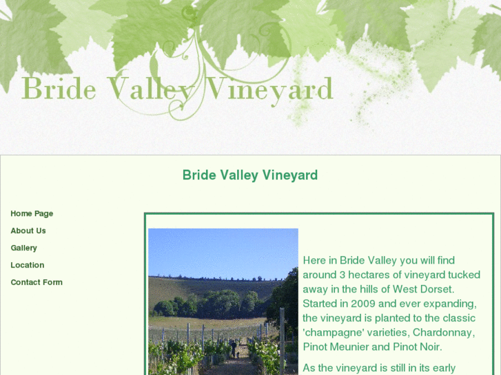 www.bridevalleyvineyard.com