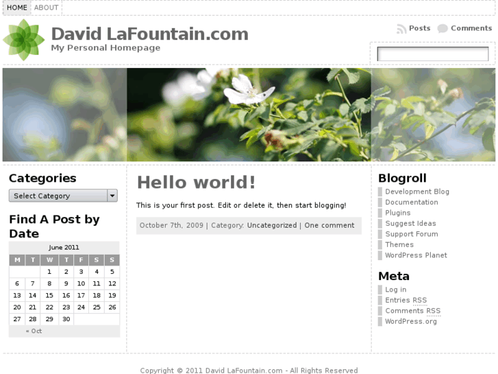 www.davidlafountain.com