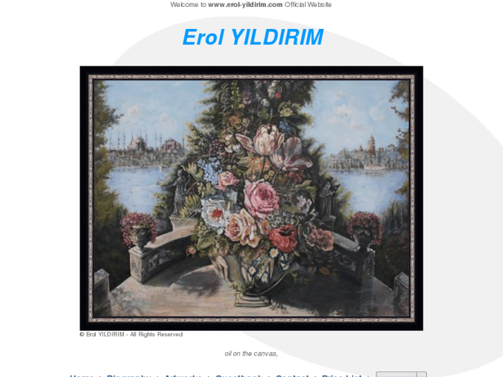 www.erol-yildirim.com