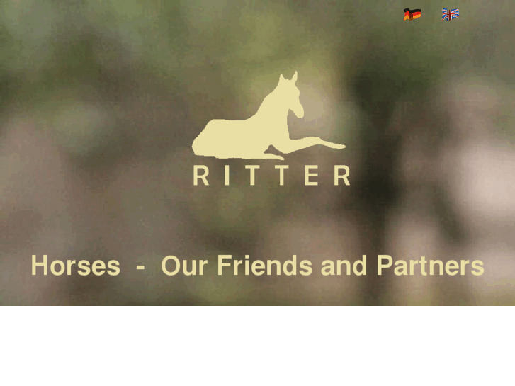 www.horses-ritter.com