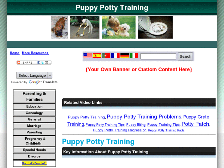 www.pottytrainapuppytips.com