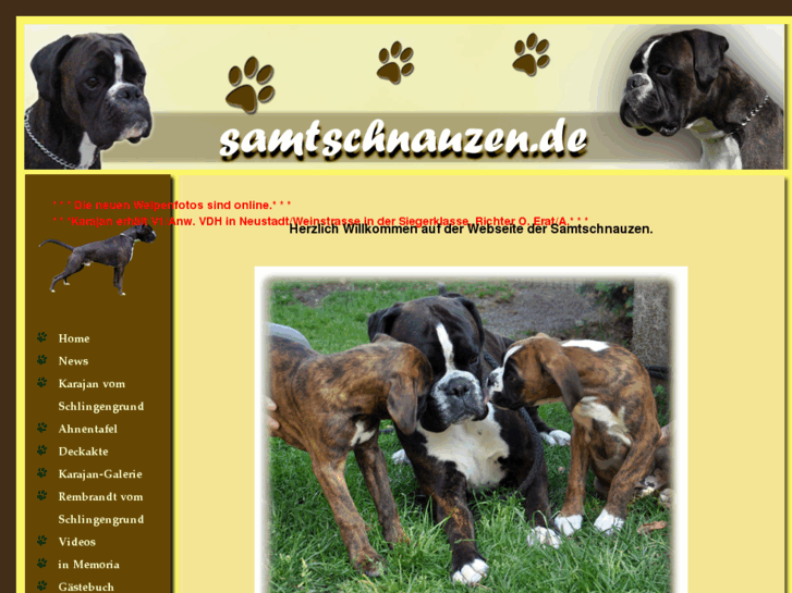 www.samtschnauzen.de