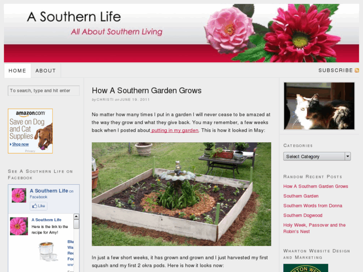 www.asouthernlife.com