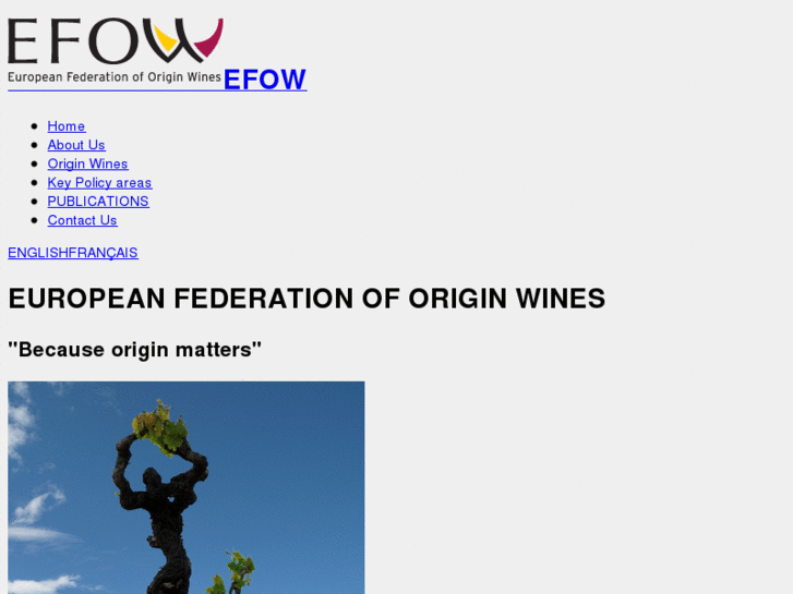 www.efow.eu