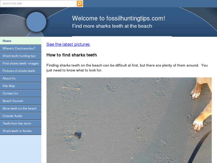 www.fossilhuntingtips.com