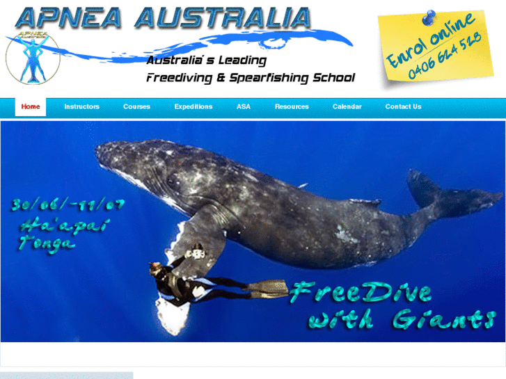 www.freedivinginternational.com