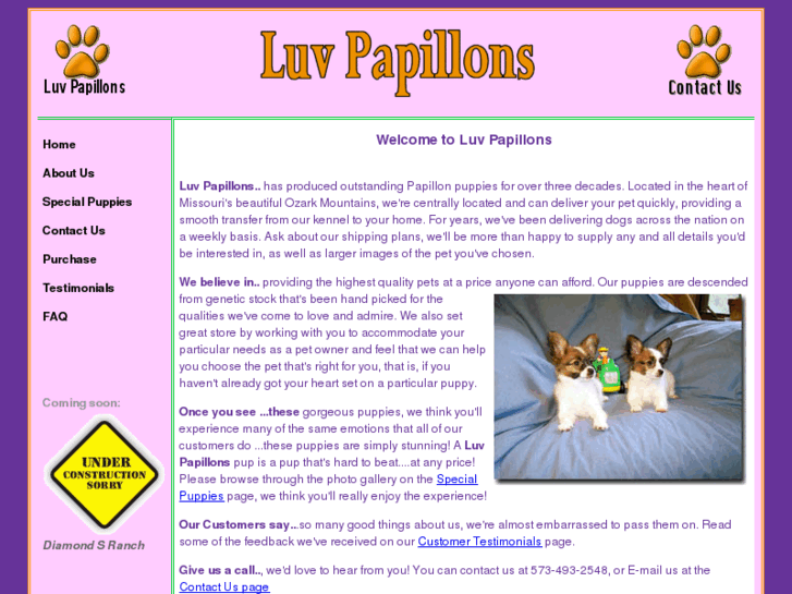 www.luvpapillons.com