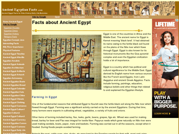 www.ancientegyptianfacts.com