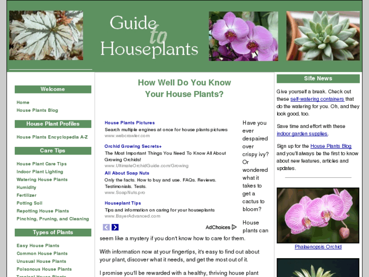 www.guide-to-houseplants.com