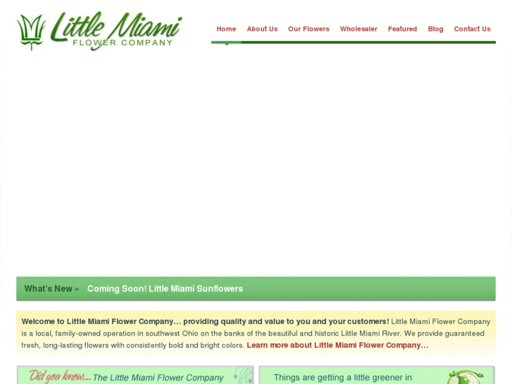 www.littlemiamiflower.com