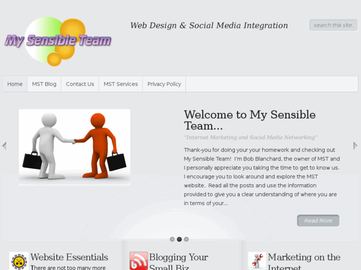 www.mysensibleteam.com