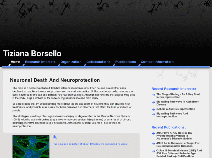 www.neuronlab.org