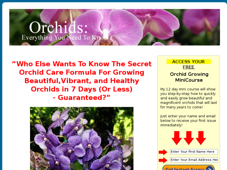 www.theorchidresource.com