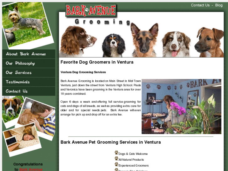 www.bark-avenue-ventura.com