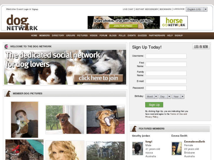 www.dog-network.com