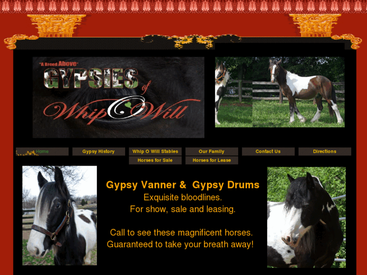 www.gypsiesofwhipowill.com