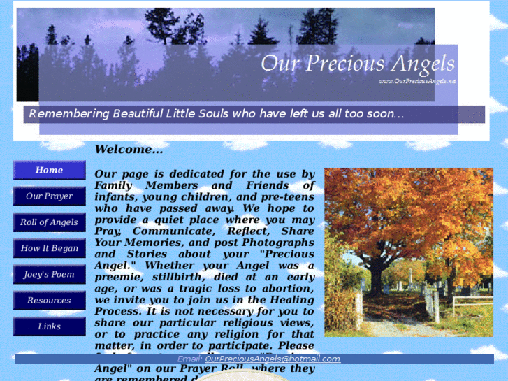 www.ourpreciousangels.net