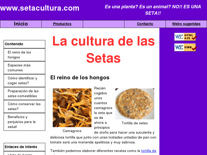 www.setacultura.com