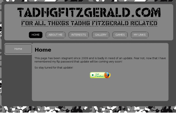 www.tadhgfitzgerald.com