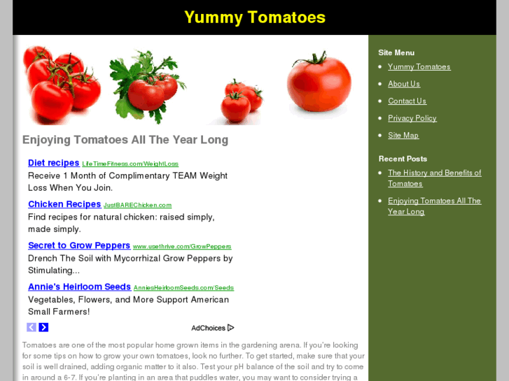 www.yummytomatoes.com