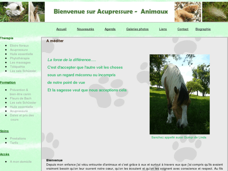 www.acupressure-animaux.com